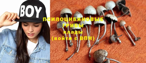 индика Абдулино