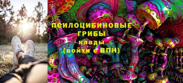 ГАЛЛЮЦИНОГЕННЫЕ ГРИБЫ Абаза