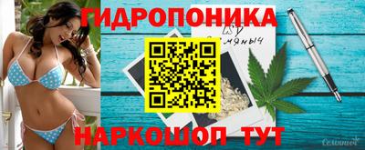 apvp Абакан