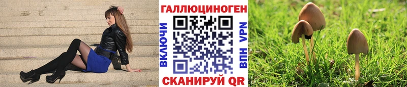 Галлюциногенные грибы MAGIC MUSHROOMS  блэк спрут рабочий сайт  Анапа 
