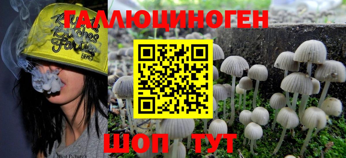Псилоцибиновые грибы Psilocybe  Вход с VPN  Анапа 