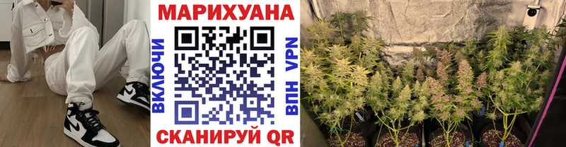Конопля сатива  Анапа 